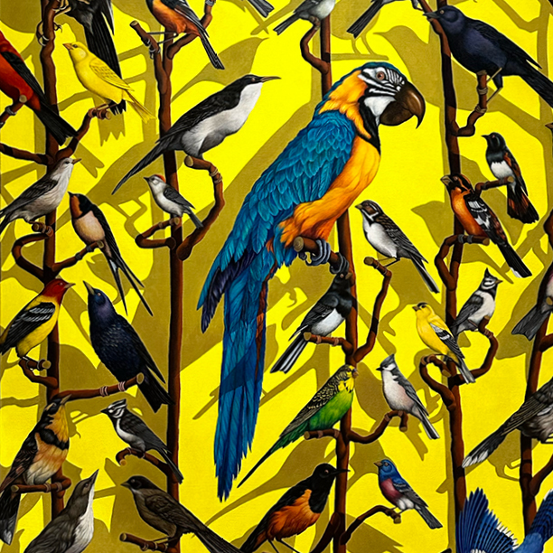Learn More about The Bird Room Redux