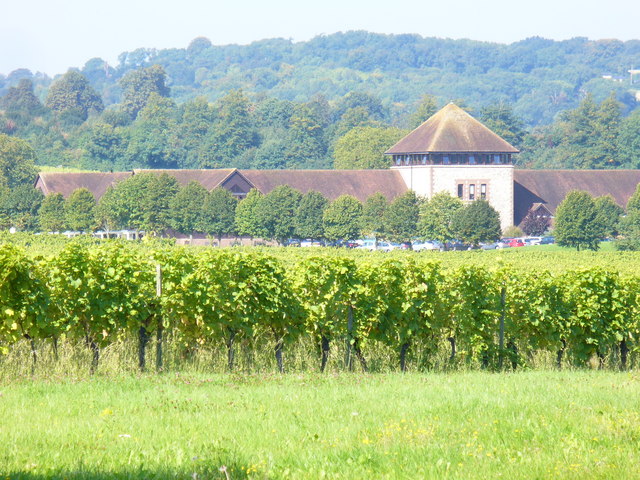 Denbies Wine Estate logo