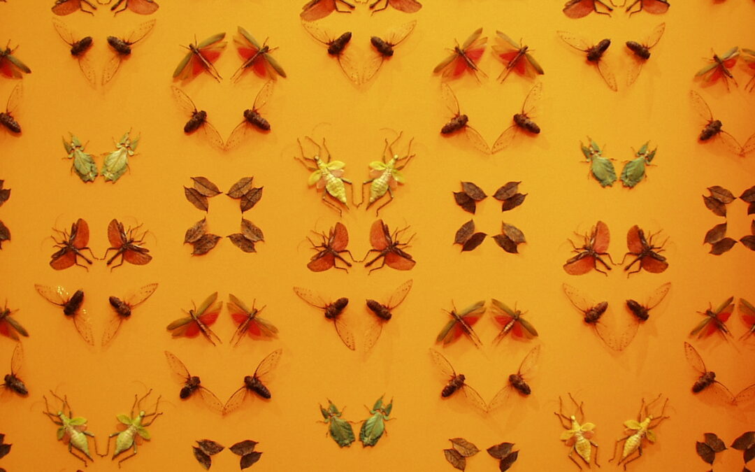Bugs & Such