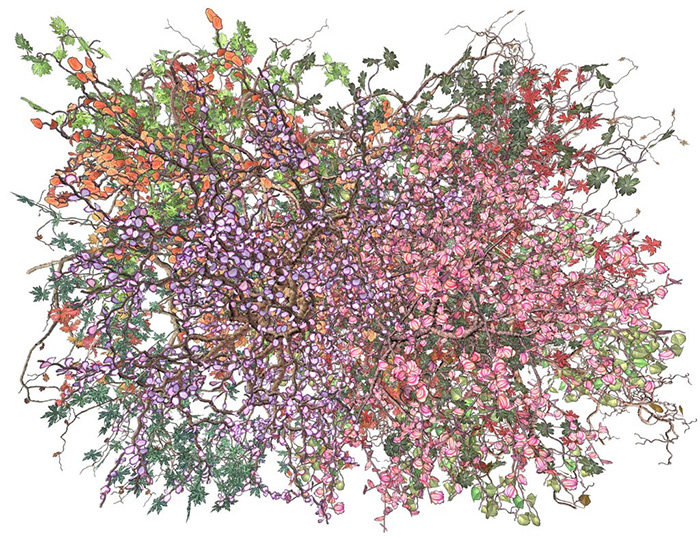 Remote Possibilities: Digital Landscapes from the Thoma Foundation Collection