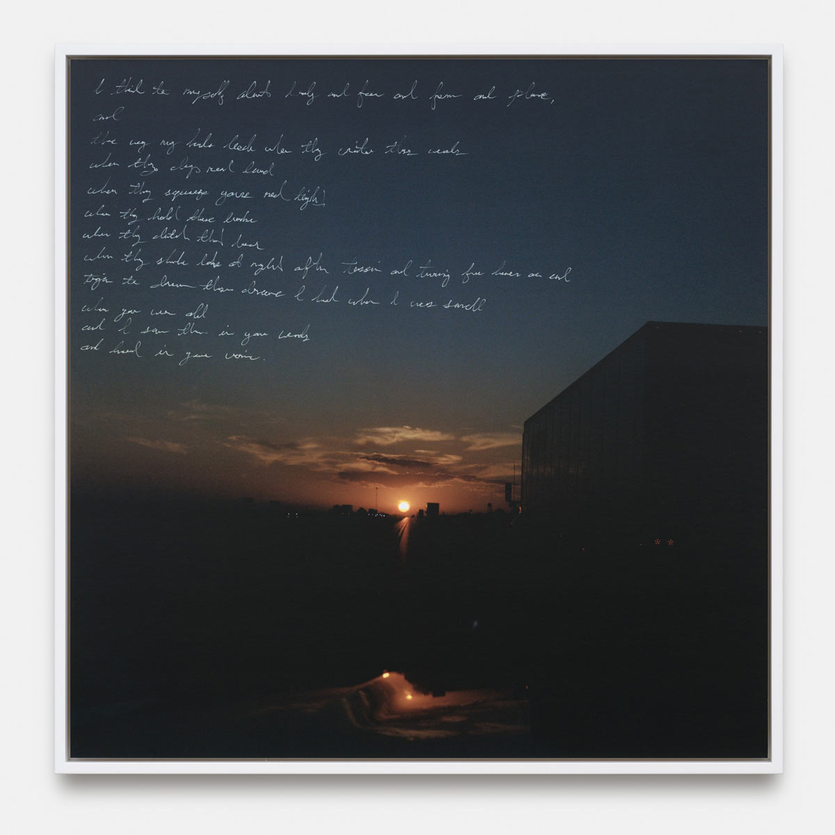 Imperfect Absence: Conservation and Reclamation in Contemporary Art