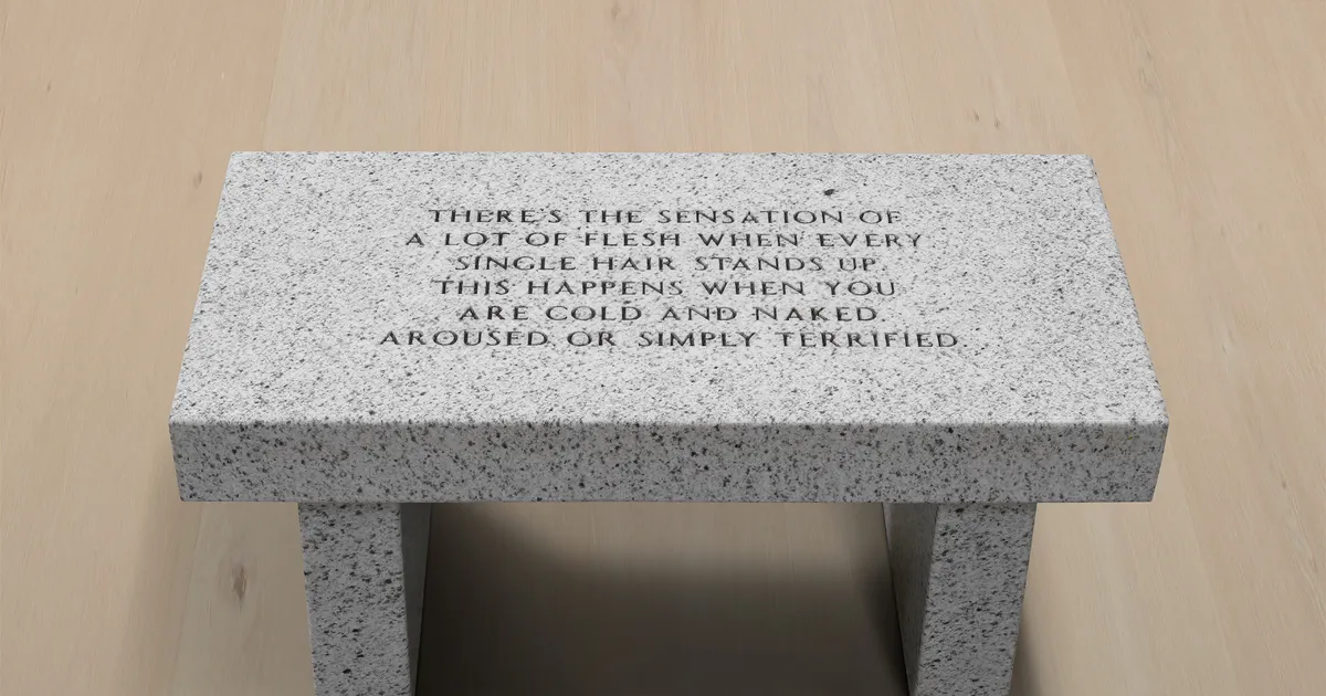 Charles Riva Project logo