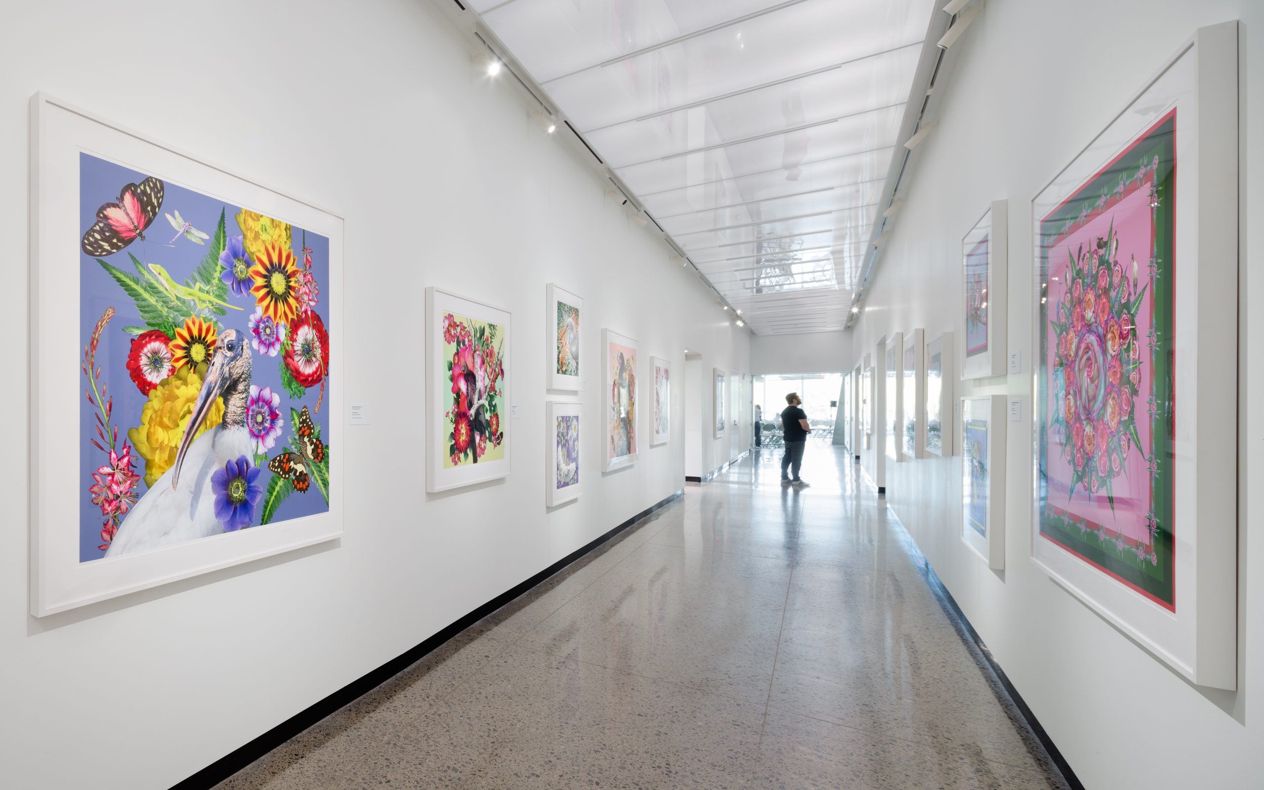 In Fine Feather: New Works by Carolyn Brown