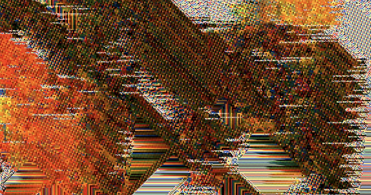 Nguyen Wahed Gallery logo