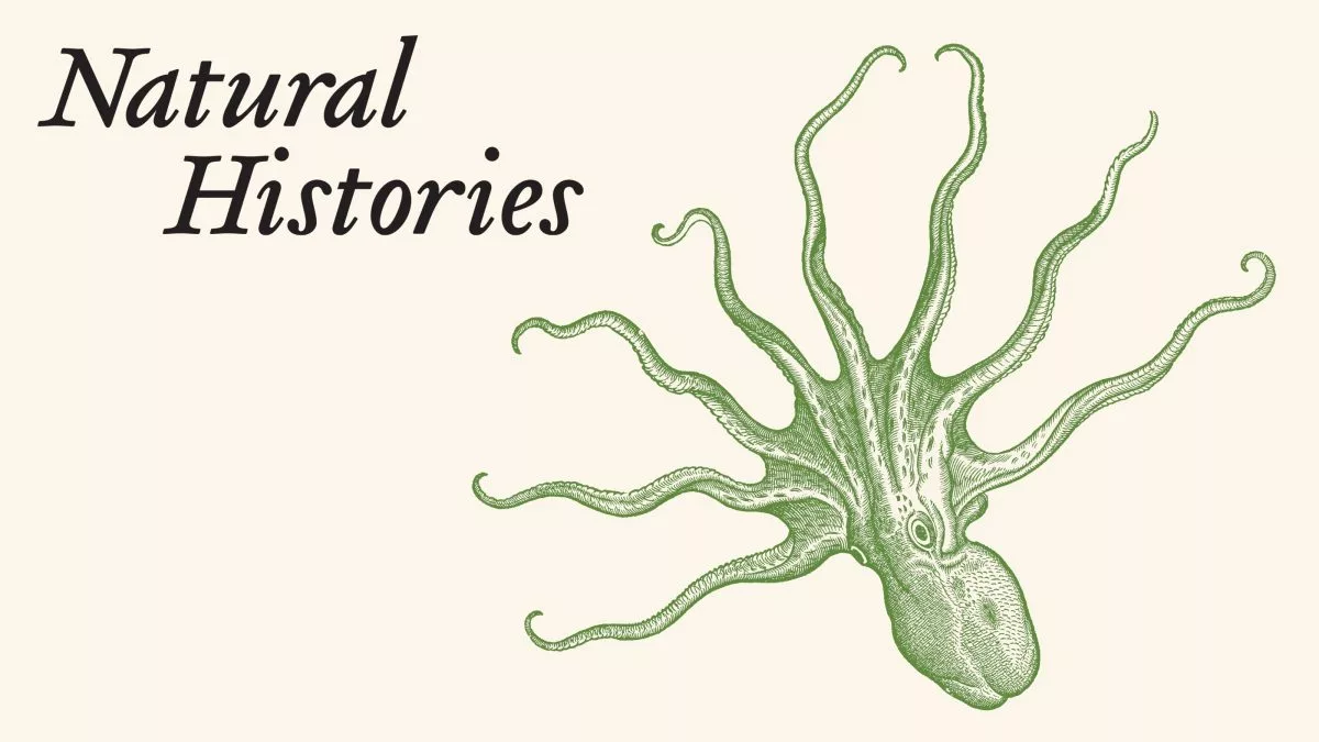 Natural Histories: 400 Years of Scientific Illustration