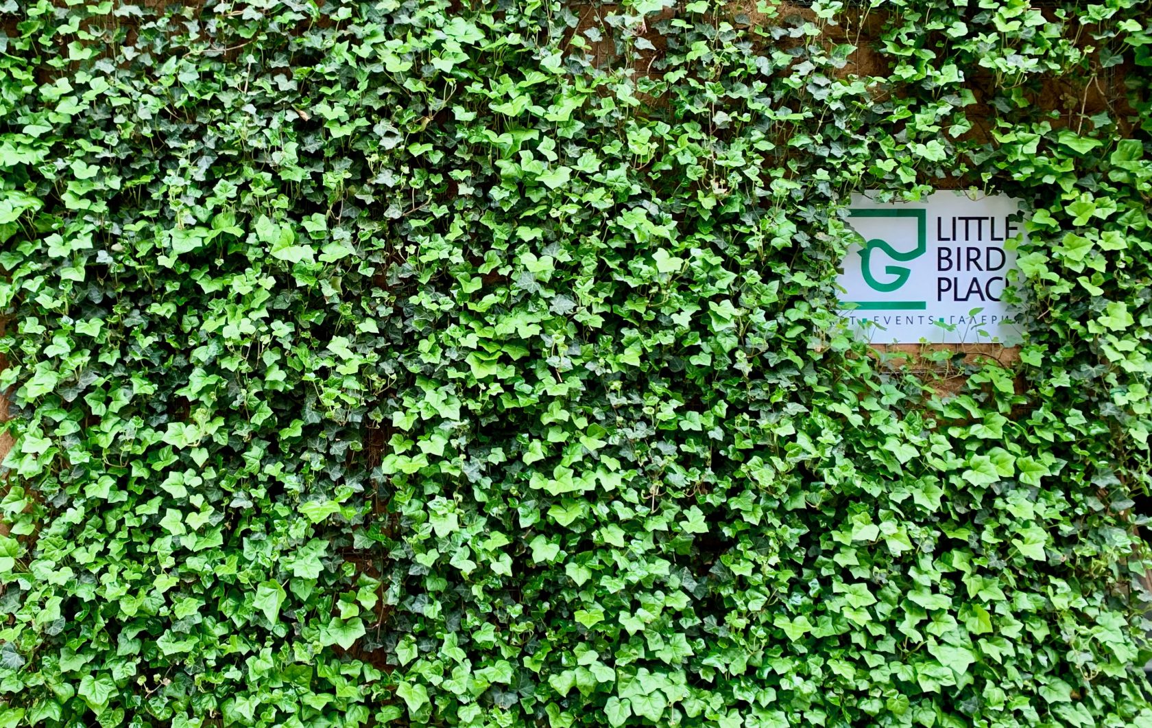 Little Bird Place logo