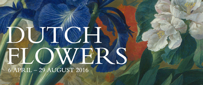Dutch Flowers