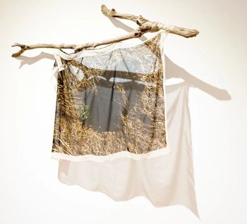 Anna Ialeggio: HOLE FOLDS