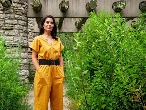 Soul of a Garden