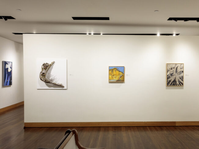 Members’ Juried
