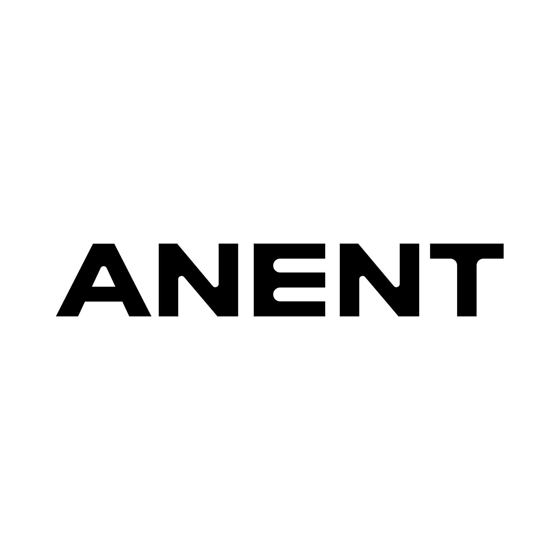 ANENT GALLERY logo