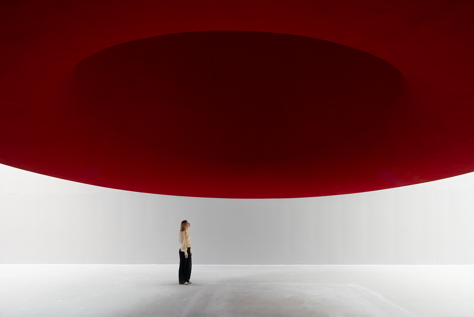 Anish Kapoor