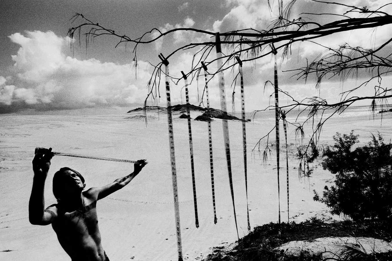 Trent Parke: The black rose