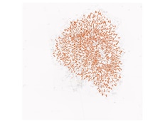 Roni Horn: When I Breathe, I Draw, Part I