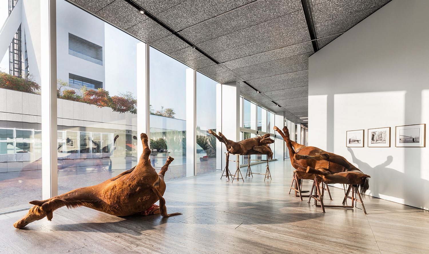 Mona Hatoum | Over, under and in between