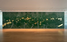 Wall Drawing Series: Jorinde Voigt