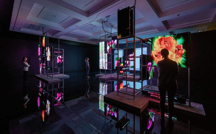 Hito Steyerl: This is the Future