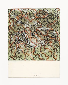 Think of Them as Spaces: Brice Marden’s Drawings