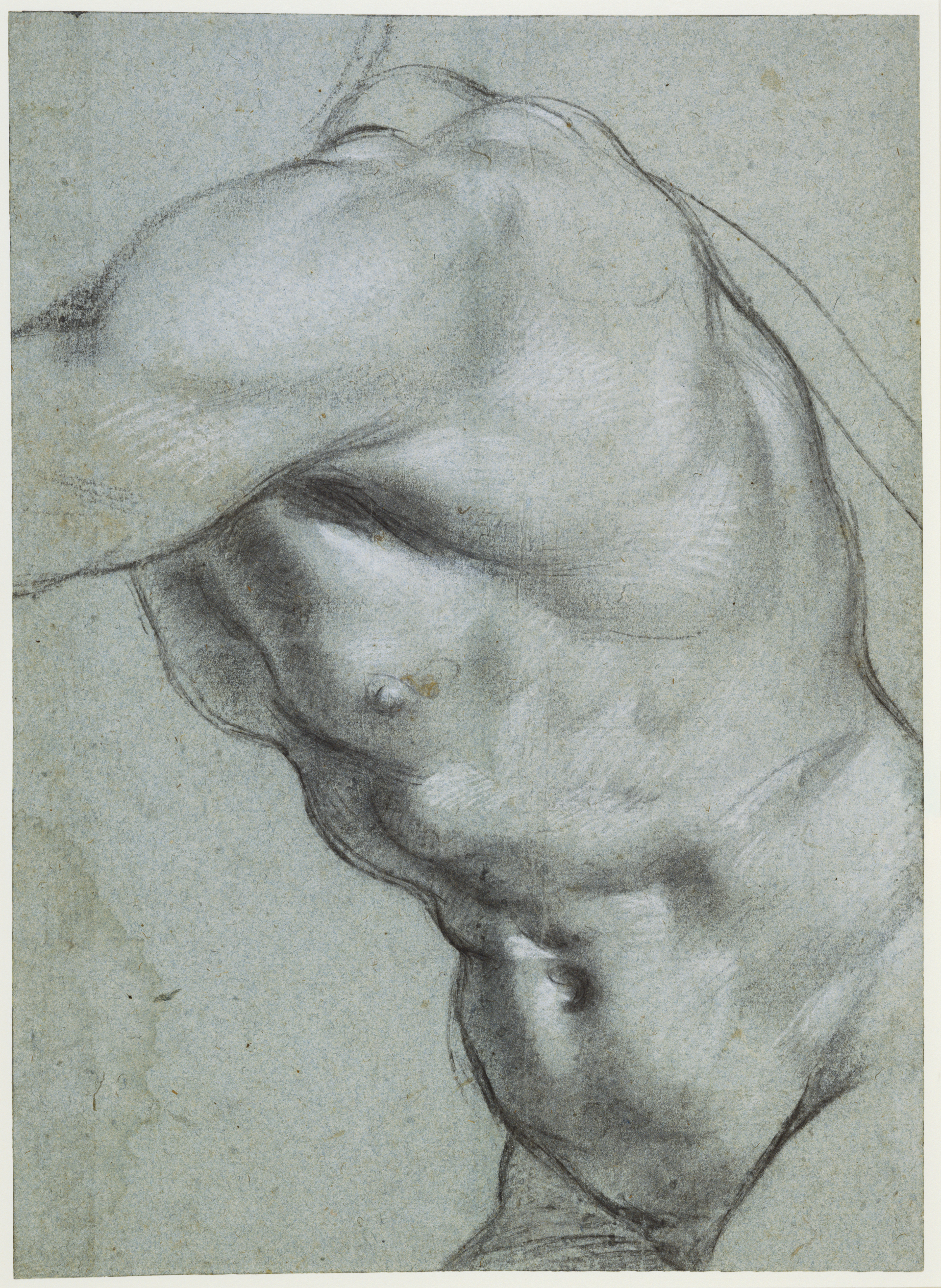 The Carracci Drawings