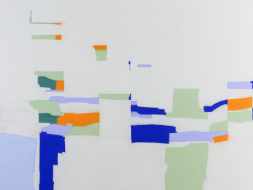 Suzanne Caporael: The Nature of Things