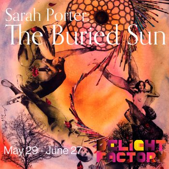 Sarah Porter: The Buried Sun