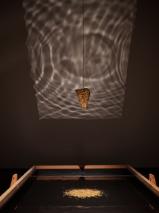 Contemporary Focus: Mineko Grimmer