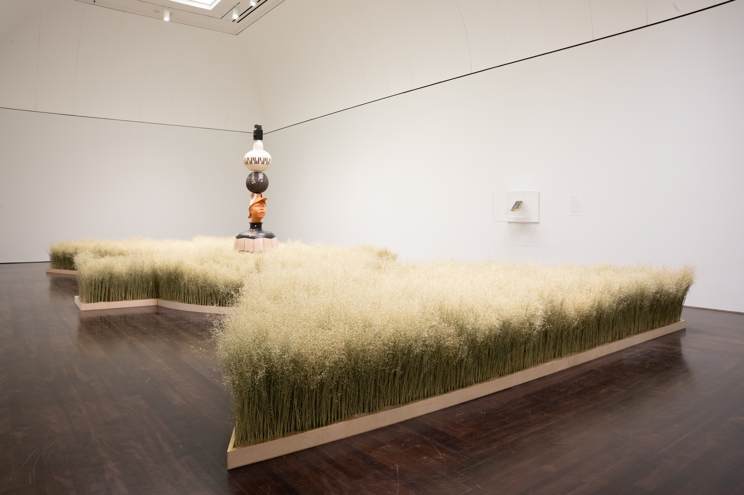 Contemporary Project 14: Tavares Strachan