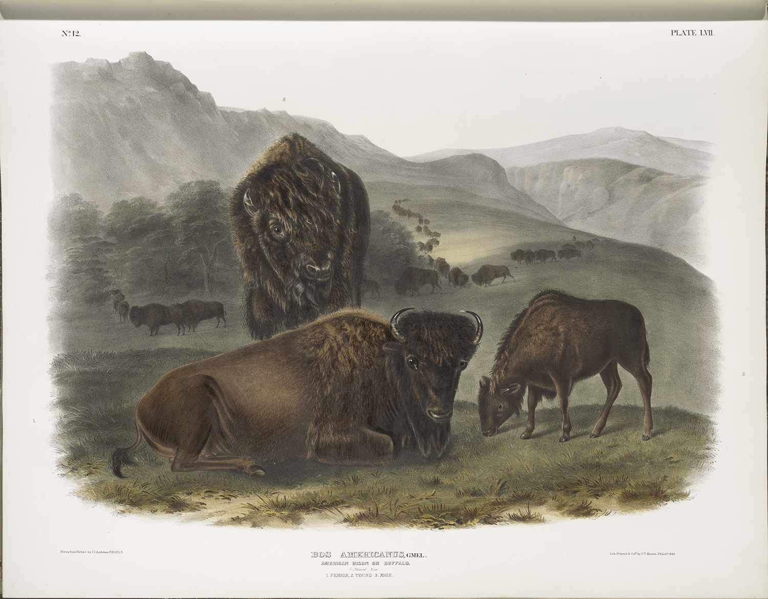 The Long View: From Conservationism to Sustainability | Works from the Bank of America Collection