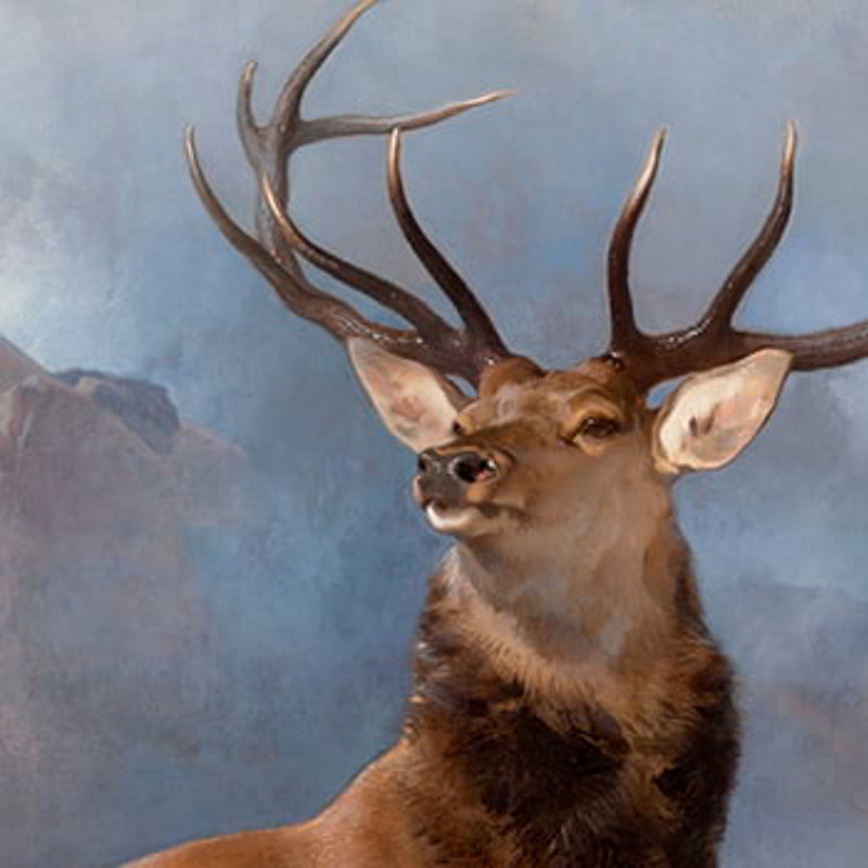 Landseer's The Monarch of the Glen