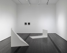 Contemporary Focus: Leslie Hewitt