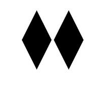 Black Diamond Gallery logo