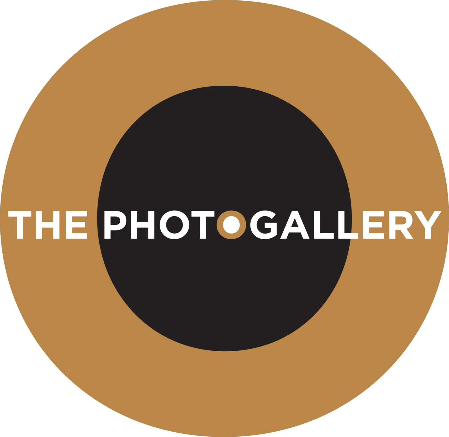 The PhotoGallery logo