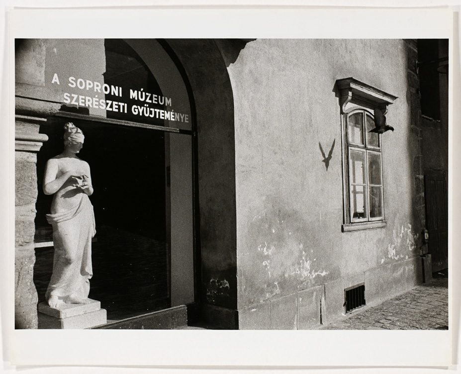 Selections from the Photography Collection, Rotation 2