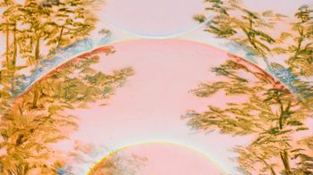 Angela Lane: Phase Shift