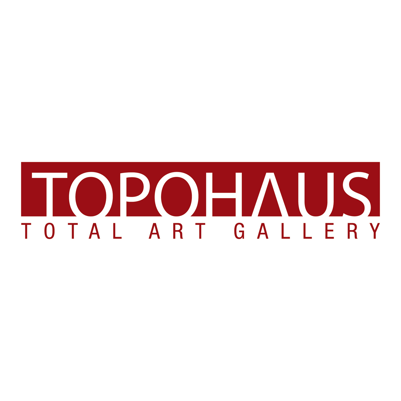 TOPOHAUS logo