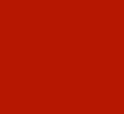Stallmann Galleries logo