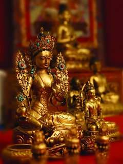 Encountering the Buddha: Art and Practice Across Asia