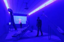 Incarnations, le corps dans la collection