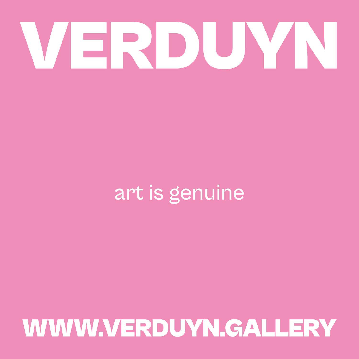 Verduyn logo