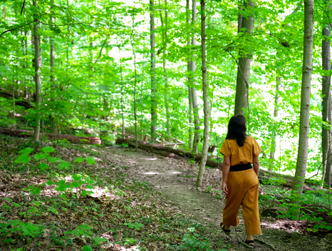 Under the Canopy