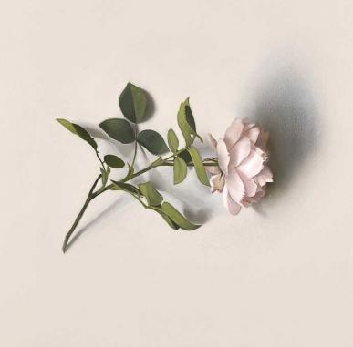 Alison Watt | A Portrait Without Likeness