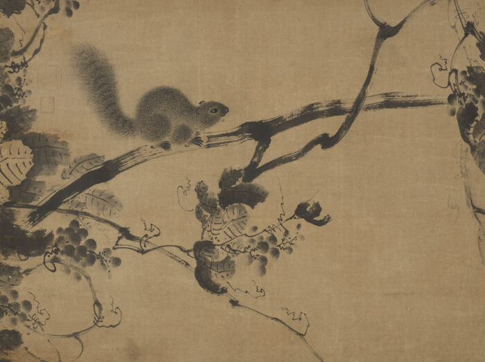 Squirrels, Tigers, and Towering Peaks