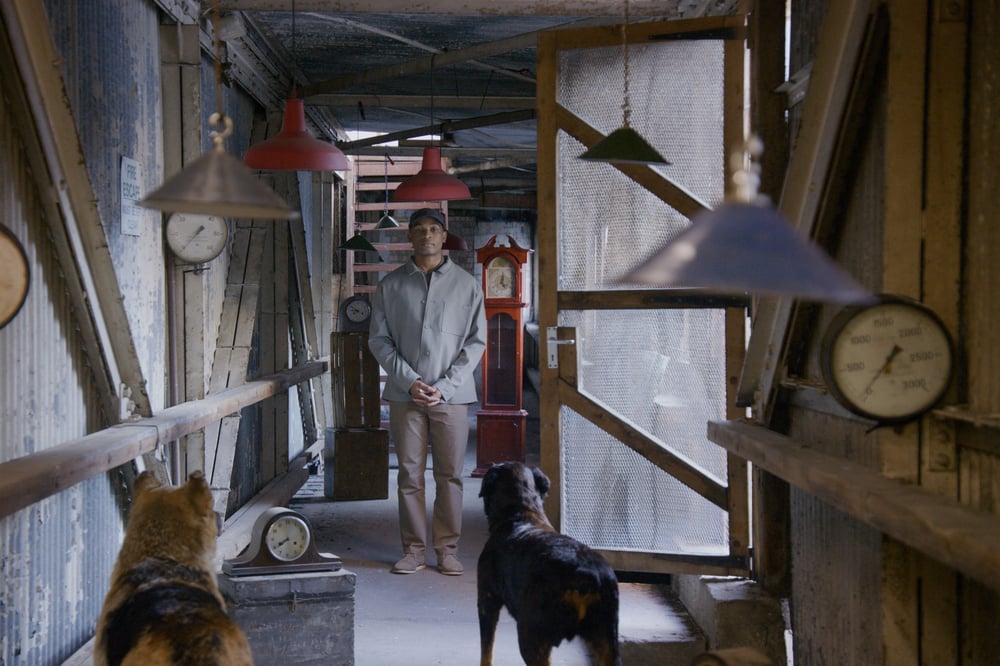 John Akomfrah: The Hour Of The Dog