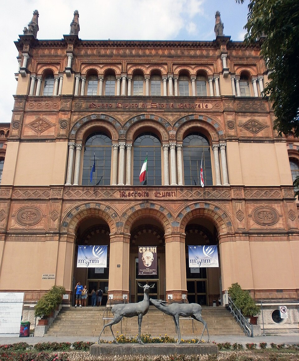 Museo Civico di Storia Naturale di Milano logo