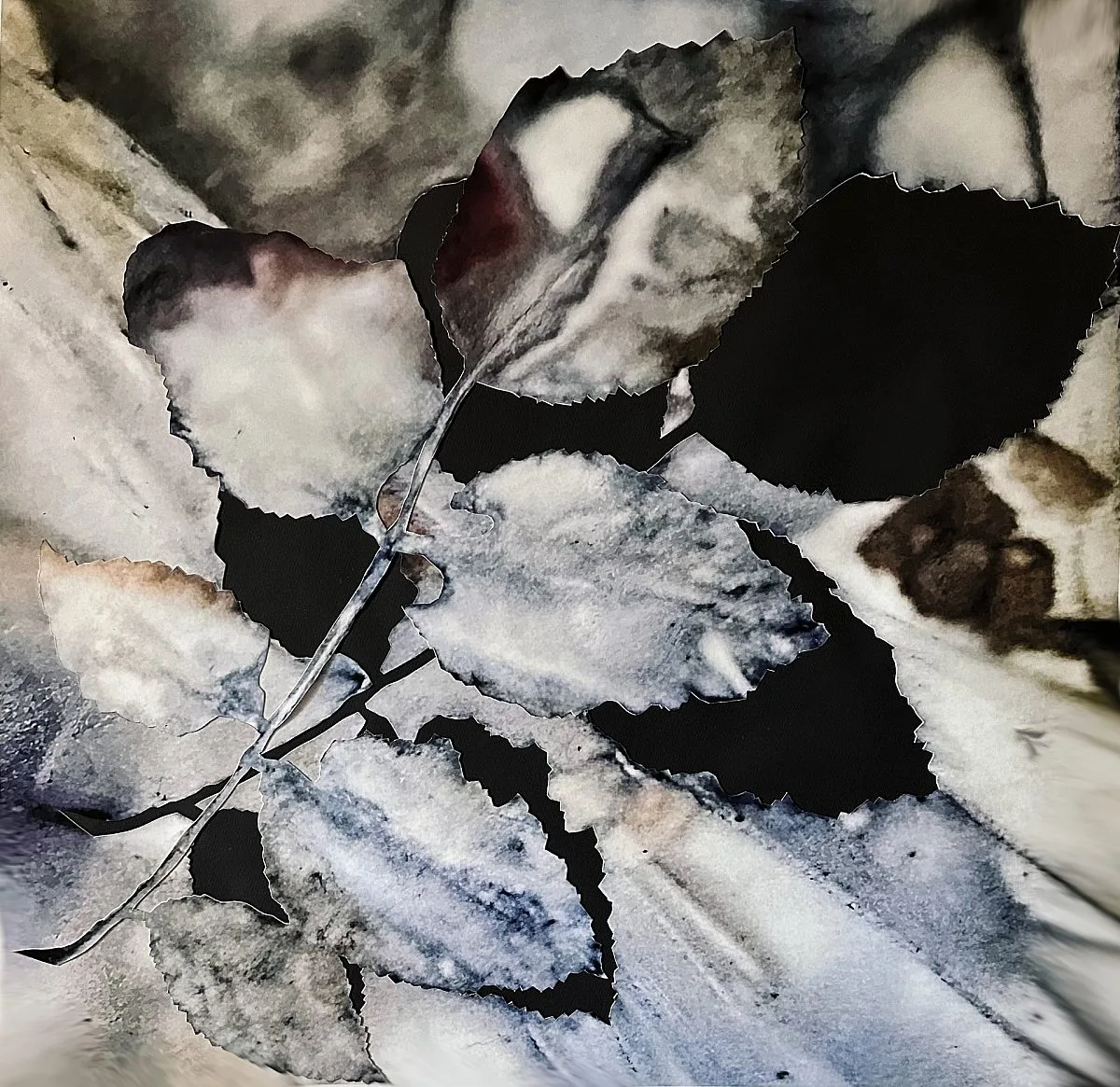 Mary K VanGieson: Chasing the Ephemeral