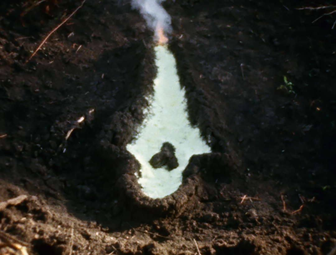 Ana Mendieta: Fundamento de Palo Monte