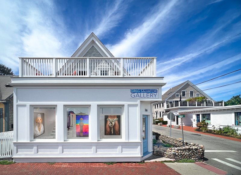 Greg Salvatori Gallery logo