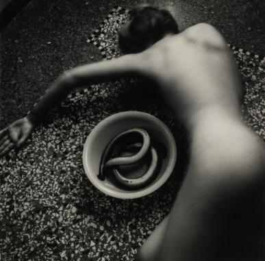 ARTIST ROOMS Self Evidence | Photographs by Woodman, Arbus and Mapplethorpe