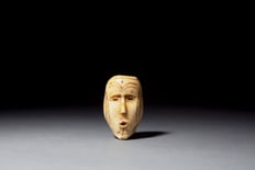 MicroCosmos / Details from the Carpenter Collection of Arctic Art