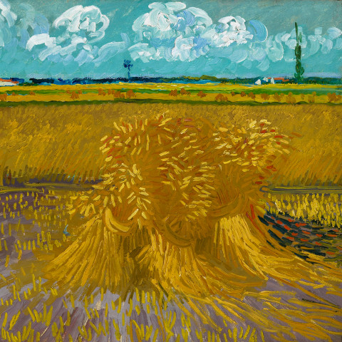 Through Vincent’s Eyes: Van Gogh and His Sources